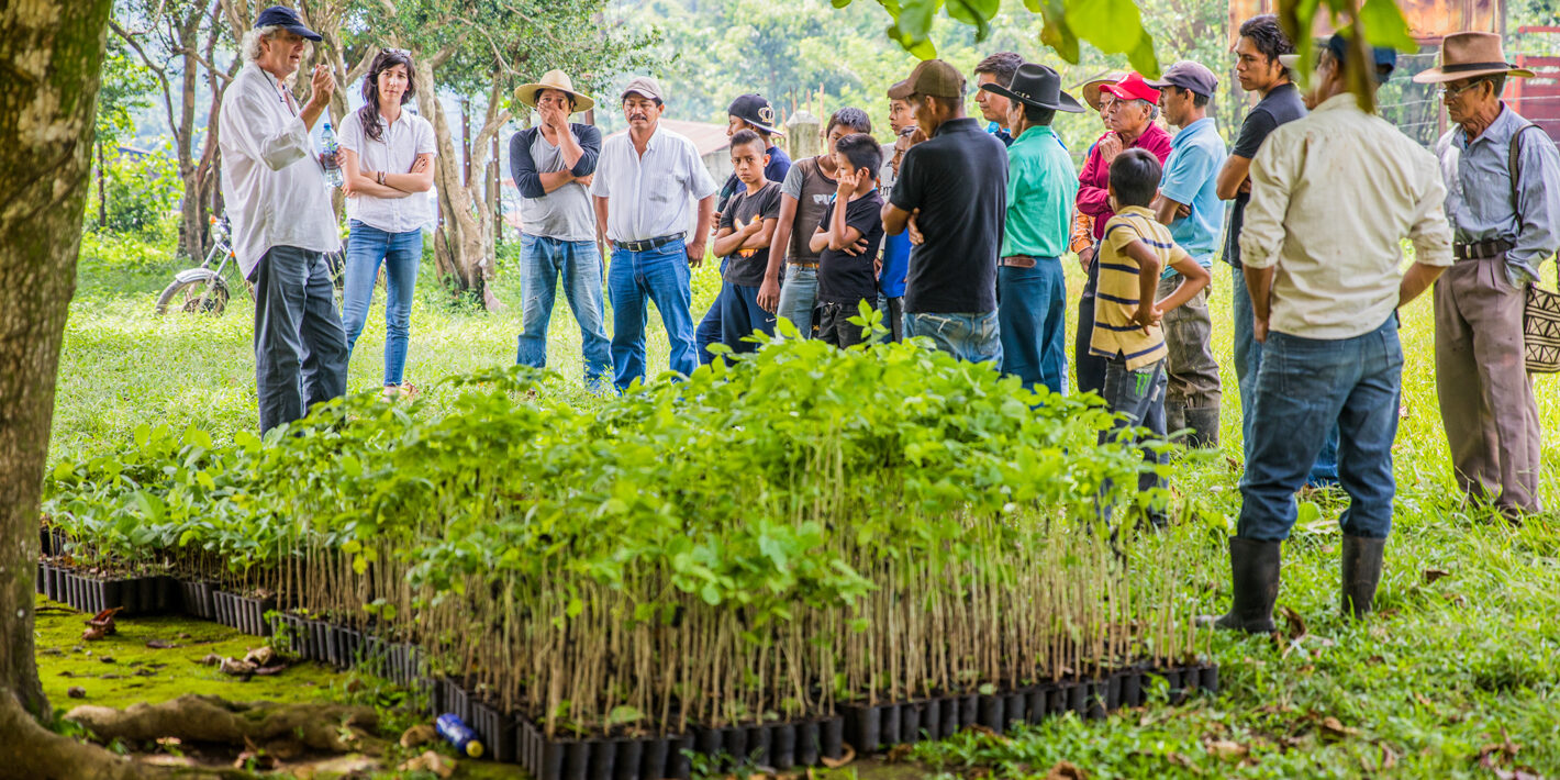 Tree Planting Meeting | Paper Shredding Services