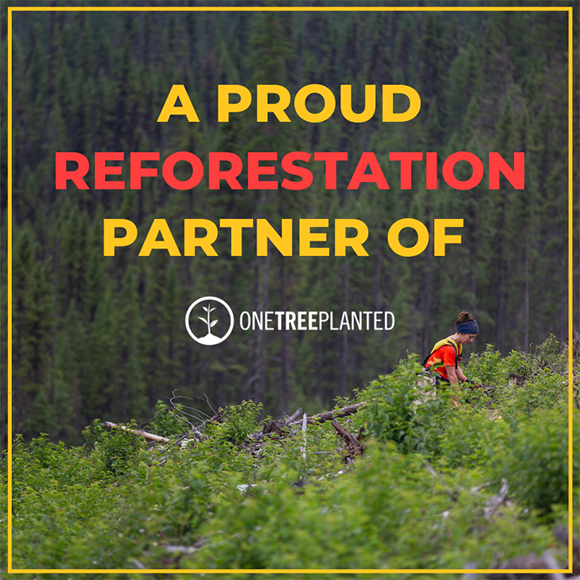 Reforestation partner of one tree planted | Great White